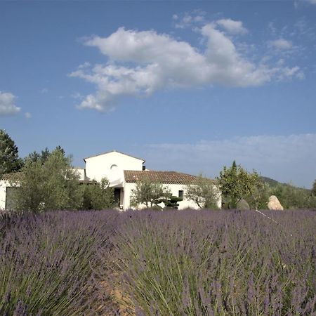Villa Otilia-Bed And Breakfast-Chambres D'Hotes En Provence Rians  Luaran gambar
