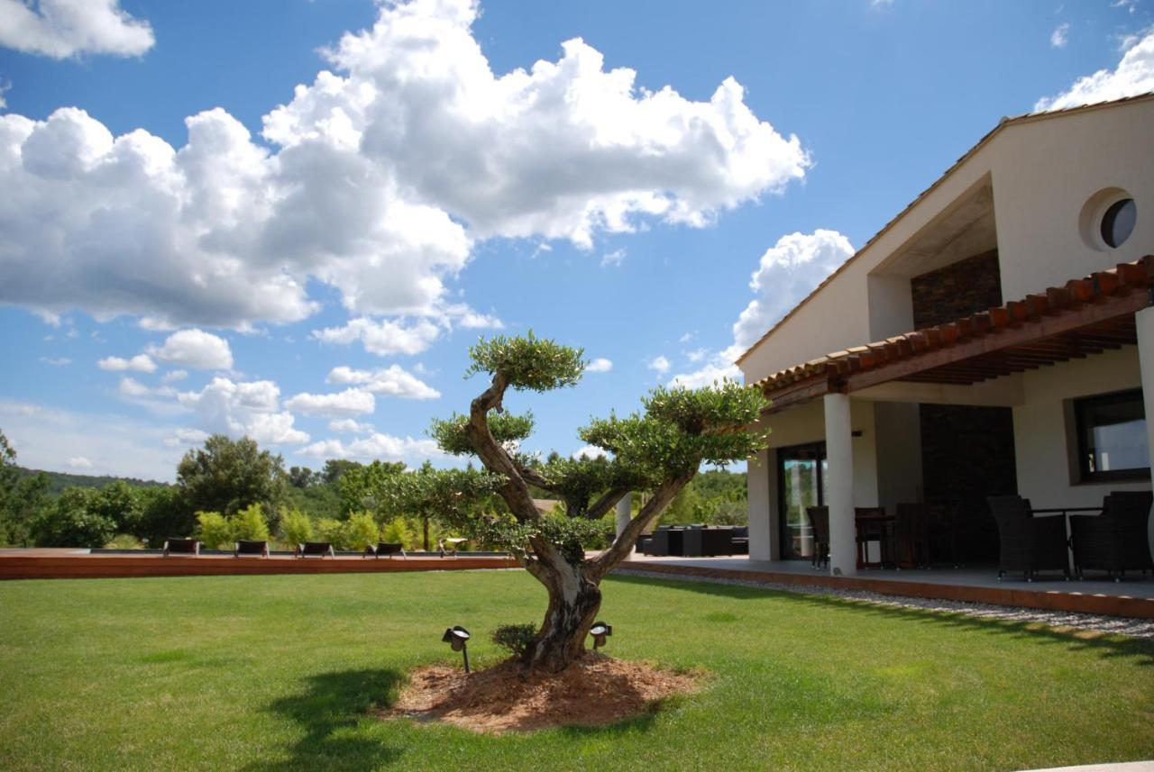 Villa Otilia-Bed And Breakfast-Chambres D'Hotes En Provence Rians  Luaran gambar