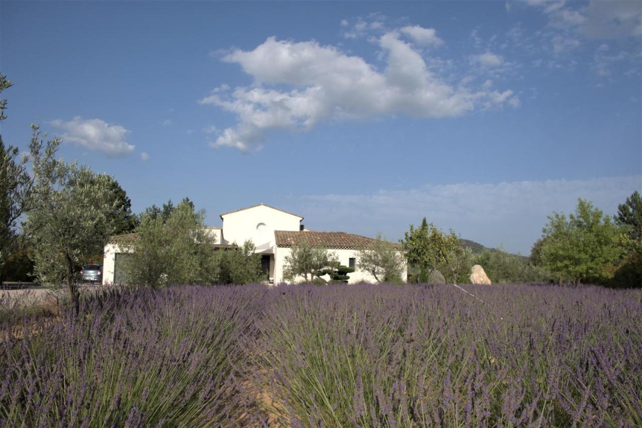 Villa Otilia-Bed And Breakfast-Chambres D'Hotes En Provence Rians  Luaran gambar