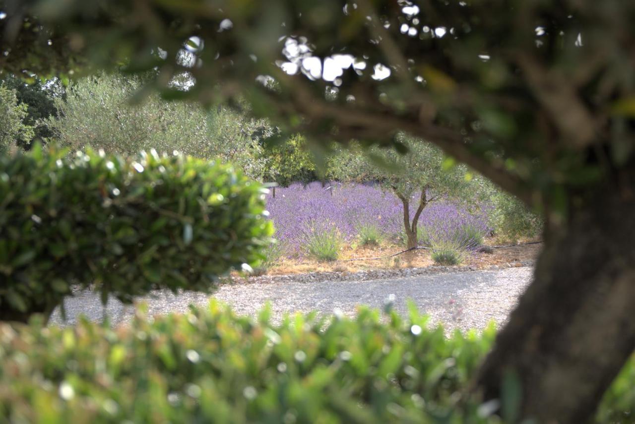 Villa Otilia-Bed And Breakfast-Chambres D'Hotes En Provence Rians  Luaran gambar
